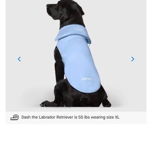 Blue Dog Coat by